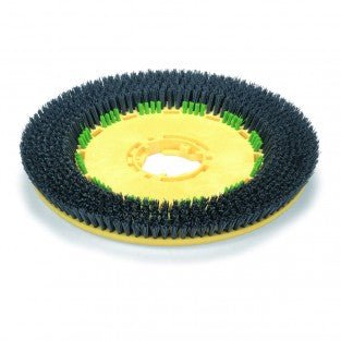 Brosse longlife pour autolaveuse (TTB ET TTV) - 550MM Numatic - Clean Equipements